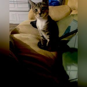 Meet your Posher, Mari